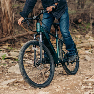 Gotrax D1RT Electric Mountain E-Bike