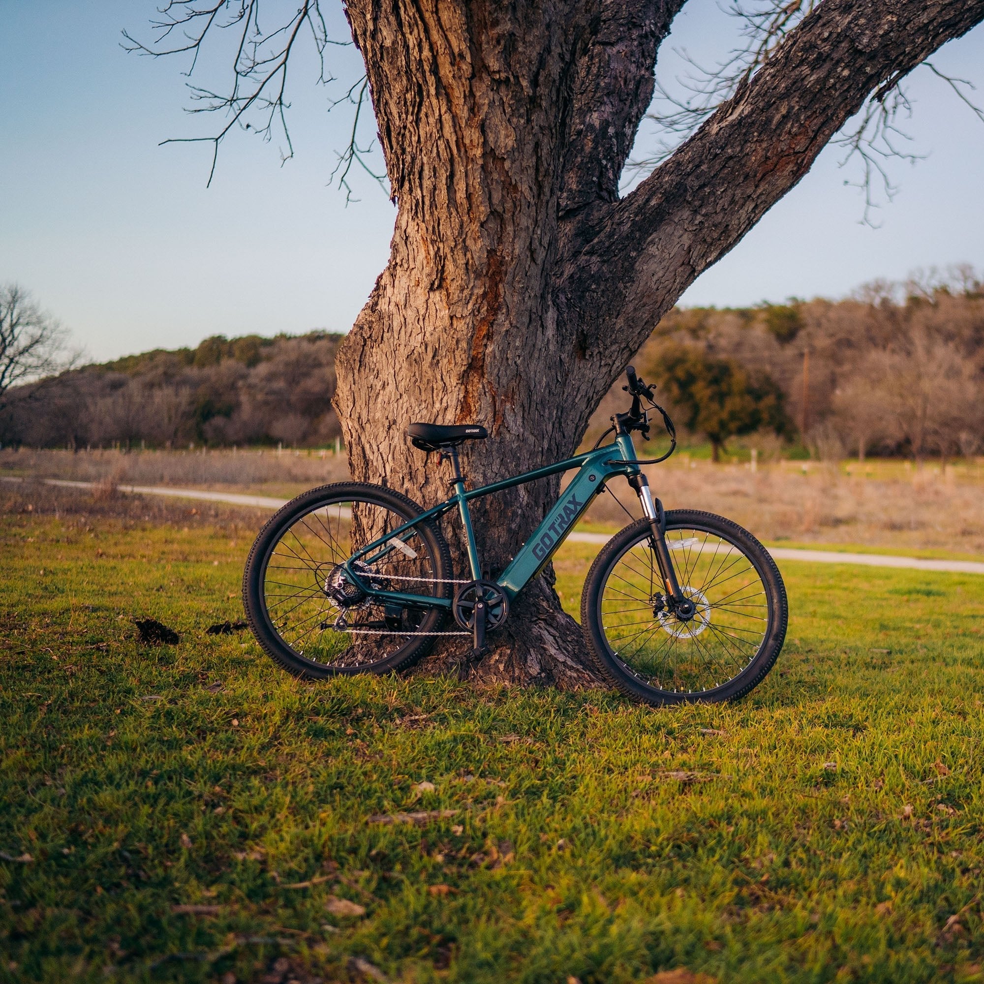 Gotrax D1RT Electric Mountain E-Bike