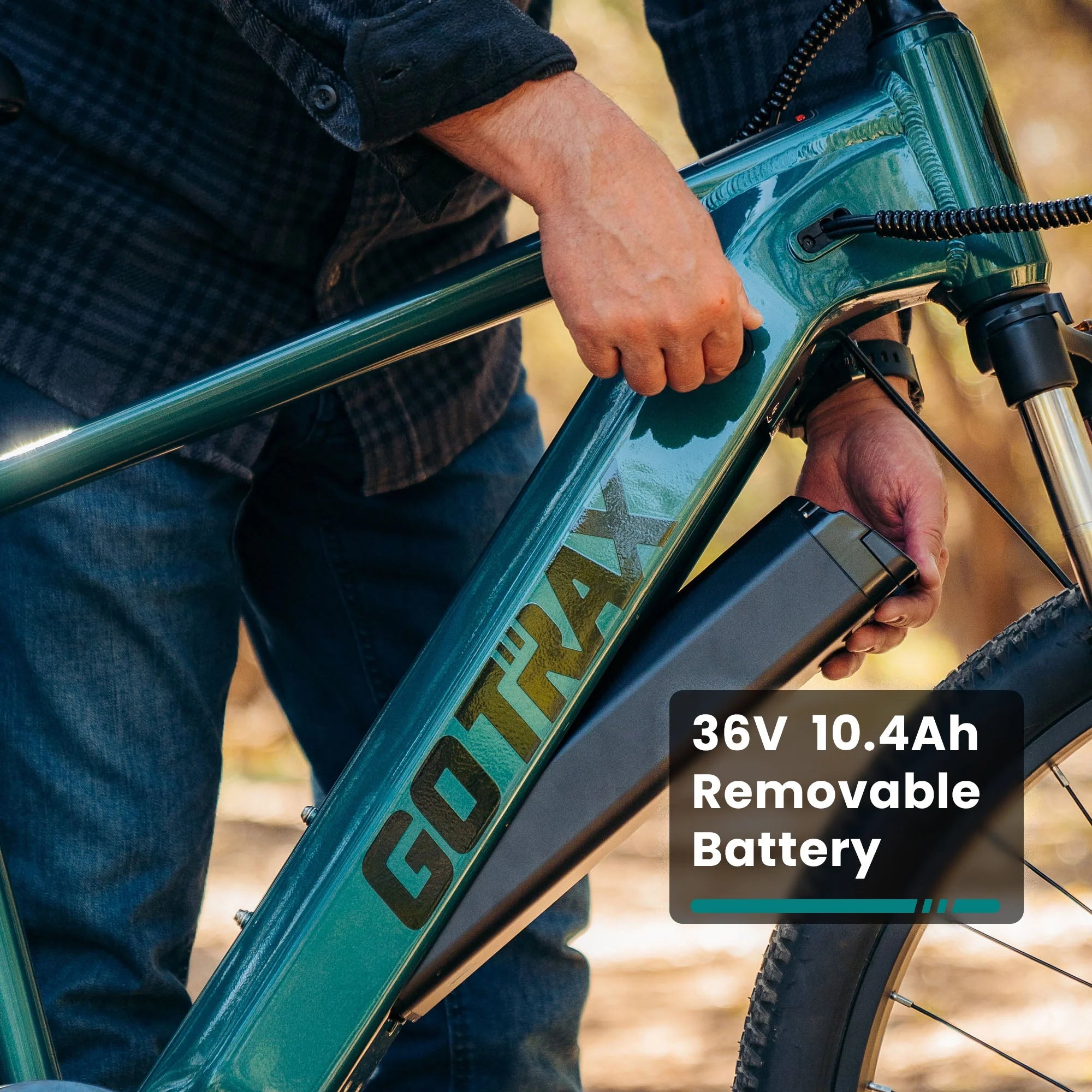 d1rt-electric-mountain-bike- d1rt-electric-mountain-bike-