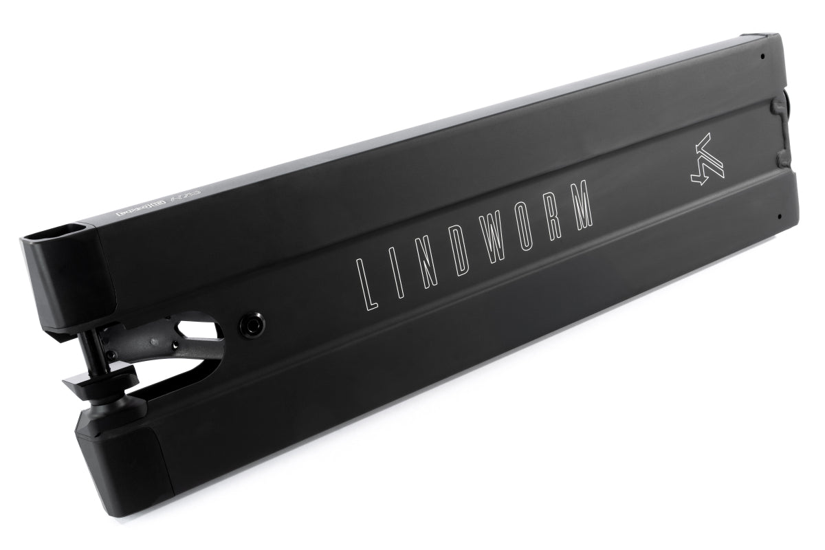 Ethic DTC Deck Lindworm V4 170 Black